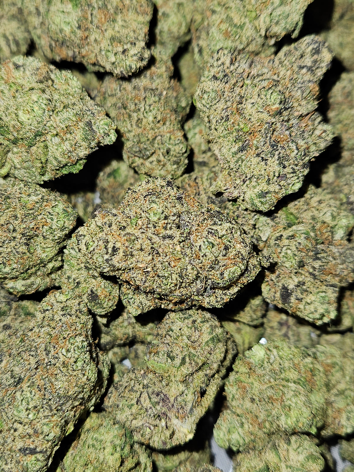 Blue Nerds
